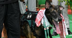 From Kaziranga’s Floodwaters to Gold Theft: How K9 Leon Helped Crack Cases Across Assam