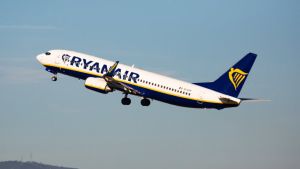 Avion Rajanera nije mogao da poleti zbog neočekivanog gosta, pokrenuta hitna intervencija (FOTO)