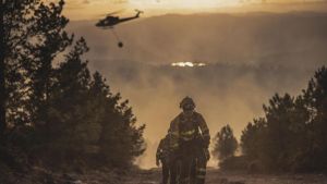 El cambio climático podría multiplicar hasta por tres la superficie afectada por incendios forestales en Europa