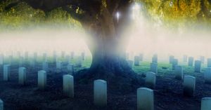 I Spent My Summer in the Cemetery. There, I Found Strange Solace.