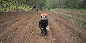 Hey, Republicans: Farmers Can't Build a Future on Constant Uncertainty