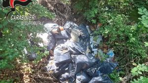 Scarti edilizi abbandonati nel bosco: 