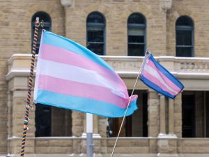Amy Hamm: Transgender health care authorities can't stifle debate anymore