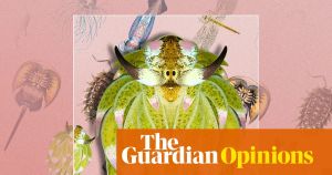 Humans have learned to fear ‘bugs’, but we shouldn’t – life as we know it hinges on invertebrates
