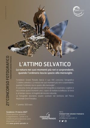 L’attimo selvatico: al via il 21° concorso fotografico di Fondation Grand Paradis