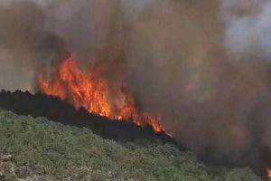 Požar kod Bihaća izmakao kontroli: Vatra stigla do miniranog područja oko “Željave”, traži se pomoć helikoptera