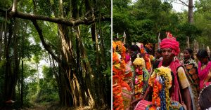 Sacred Forests, Ancient Rules: How India’s Communities Have Protected Nature for Centuries