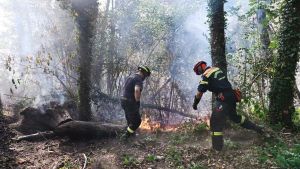 I numeri drammatici dell’incendio al Monte Goj: 1 milione di litri d’acqua usati, 261 vigili del fuoco, 30 ettari di bosco distrutti, 41 voli dei Canadair