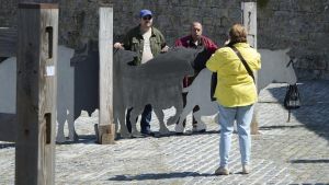 La mirada del turista