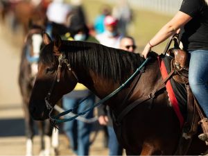 Opinion: Canadian Derby shows why horse racing still matters to Alberta When the gates open at Century Mile on Saturday for the 97th running of the Canadian Derby, attention will be on the horses, jockeys and trainers competing in one of Western Canada’s signature racing events. A sport with deep roots in Alberta will be exactly what it should be: exciting, unpredictable entertainment.