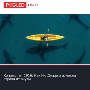 Капанът от 1916: Как Ню Джърси измисли страха от акули