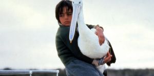 Australian children’s classics: Storm Boy’s tough, tender ode to wild childhood will make you cry