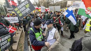 Politiikka | Heinäluoma: Suomen on uskallettava puolustaa maataloutta EU-pöydissä