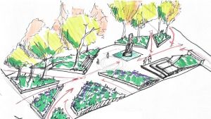 Pavia, piazza Ghislieri alberata: il progetto degli universitari per eliminare il parcheggio