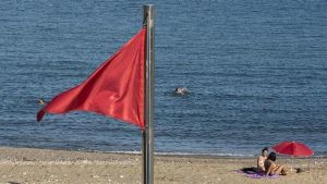 Playas fecales