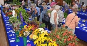 Gardeners defy scorching weather to show off their amazing green-fingered triumphs