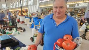 Los tomates gigantes de Villar (Tazones) sorprenden en la plaza de abastos de Villaviciosa: 
