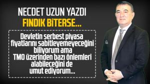 Necdet Uzun yazdı: Fındık biterse...
