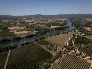 Las claves: Europa quiere reducir su dependencia de la infraestructura de la IA