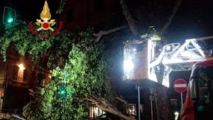 Maltempo Toscana, albero sulla rete elettrica della tramvia
