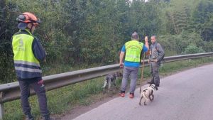 Buscan a una persona que lanzó gritos de auxilio en una zona de matorral de Loroñe, en Colunga