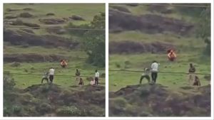 Father tries to save son from Maharashtra cliff edge, both fall; mother jumps moments later