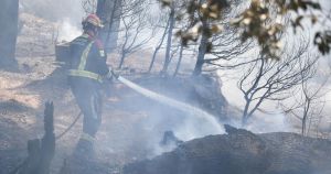Kanađanka srpskog podrijetla palila po Dalmaciji? Nakon izazivanja buktinje bježala u BiH