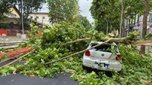 Fortissime raffiche di vento a Firenze: alberi spezzati, rami caduti in strada, danni alle auto