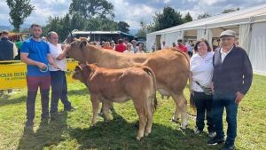 Villaviciosa renuncia al concurso de ganado digital anunciado para el Portal y prepara una jornada rural para el miércoles festivo