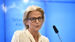 Svensk ekonomi går bra – det frusterar S