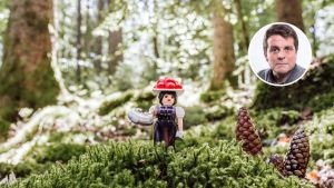 Werte, Wut und Wald