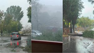 Maltempo Signa, alberi caduti e strade chiuse. Blackout a Lastra a Signa