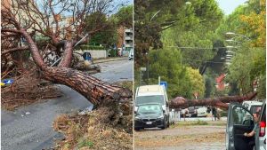 Nubifragio a Forlì, vento a 110 km orari: alberi caduti e strade chiuse. Blackout in una casa con disabili, disagi all’aeroporto