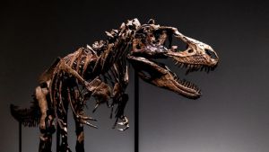 Bir T-Rex'iniz olsun istemez miydiniz?