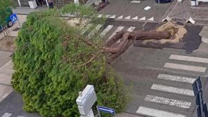 Forti raffiche di vento a Ravenna, crolla la balaustra di un residence