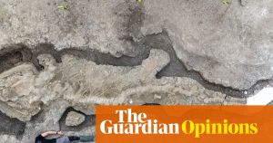 The Guardian view on the export of fossils: they deserve national treasure status