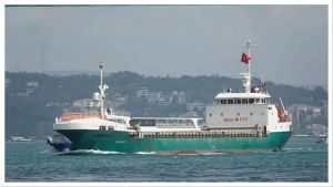'All 22 Indians safe': India takes up seafarers' safety with Somalia after 2 ships hijacked