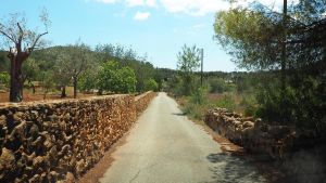 Caminos de tierra