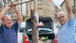 Manolo Gancedo saca un espectacular congrio de 32 kilos y 2,25 metros de la ría de Villaviciosa: 