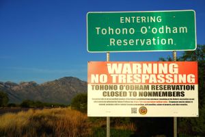 Trump Is Destroying Pristine Public Lands to Build His Border Wall — Again