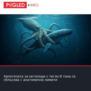 Хипотезата за октоподи с тегло 8 тона се сблъсква с анатомични лимити