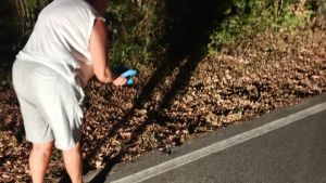 Piromani in azione a San Michele del Carso: trovata una palla di carta infuocata tra la boscaglia e la strada