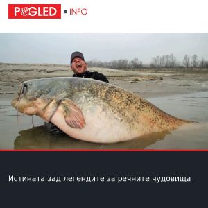 Истината зад легендите за речните чудовища