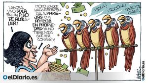 Los loros