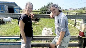 Pas de relève aux Îles? On ferme la fromagerie!
