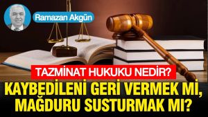 Tazminat hukuku nedir? Kaybedileni Geri Vermek mi, Mağduru Susturmak mı?