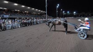Omaggio al Capitano: all’ippodromo Sesana è la notte di Varenne