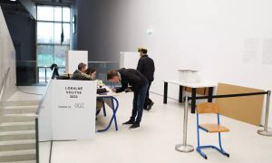 Bodo državljani tretjih držav volili novembra?