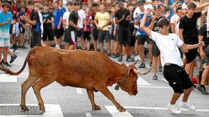 Sentido común, sí; animaladas, no