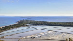 ¿Protegemos ses Salines o perseguimos al pequeño autónomo?